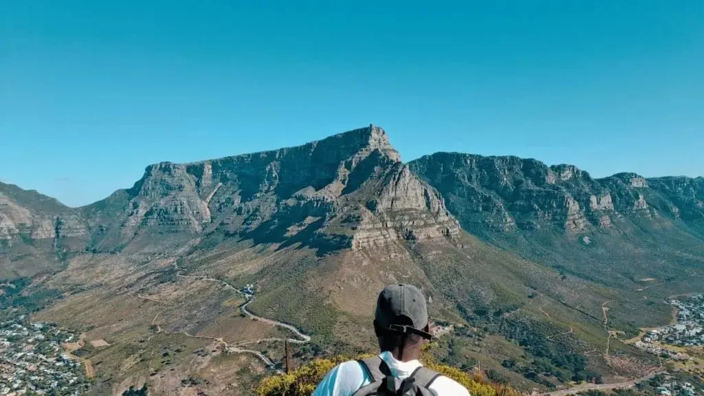 Volunteers win three more years to keep Table Mountain's invasive plants in check
