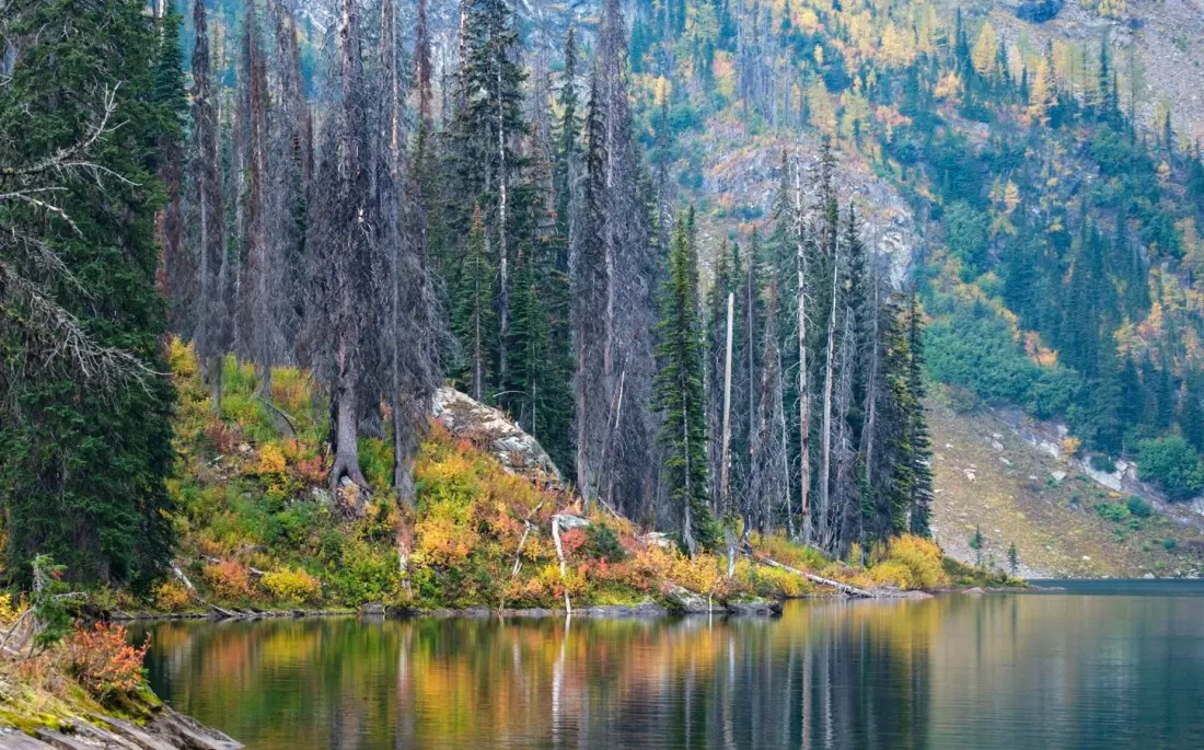 Kimberley, B.C.: Fall Colours and 50 km of Trails in Canada's Largest Municipal Park Setting