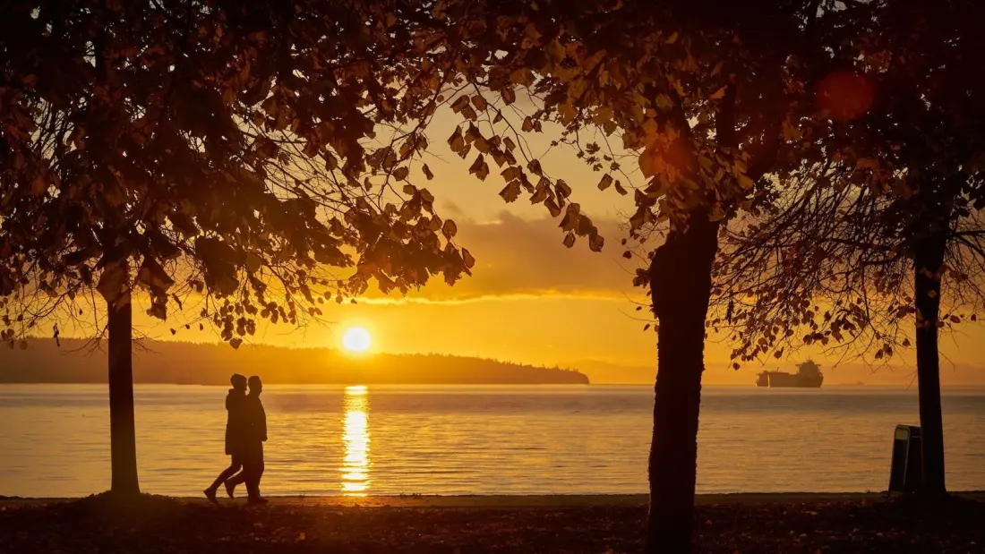 Nine ways to date better in Vancouver this fall, from opera to night-lit forest walks