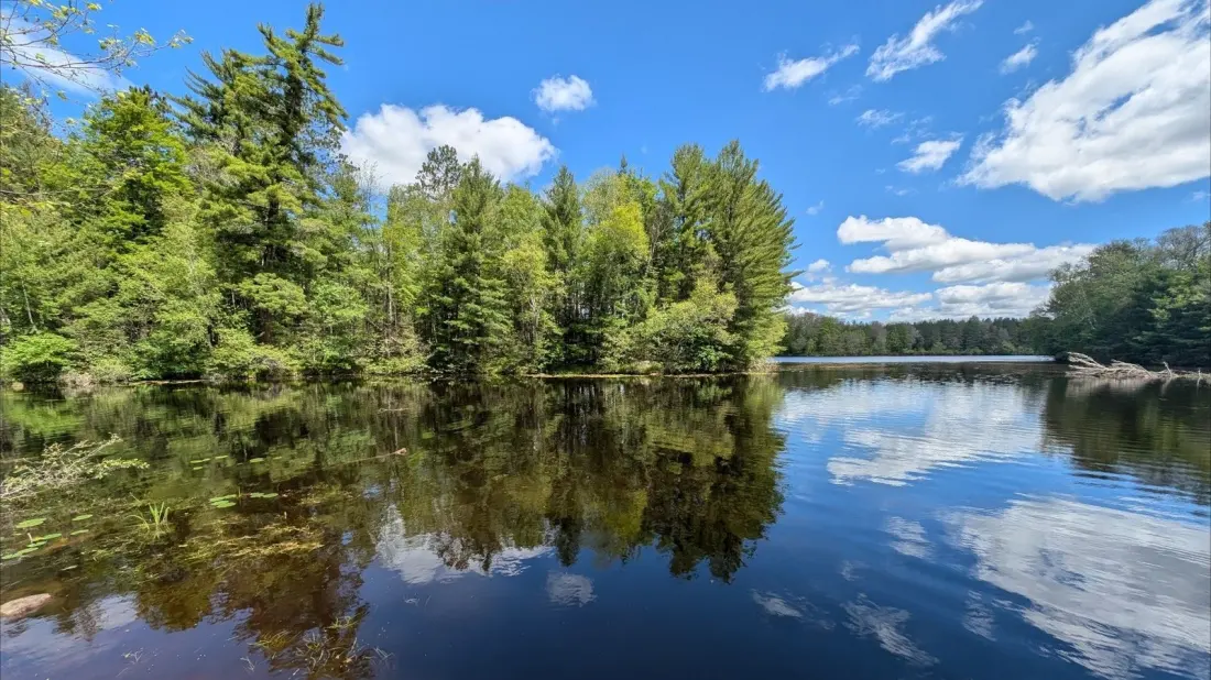 Governor Thompson State Park: Wisconsin Northwoods Camping an Hour From Green Bay