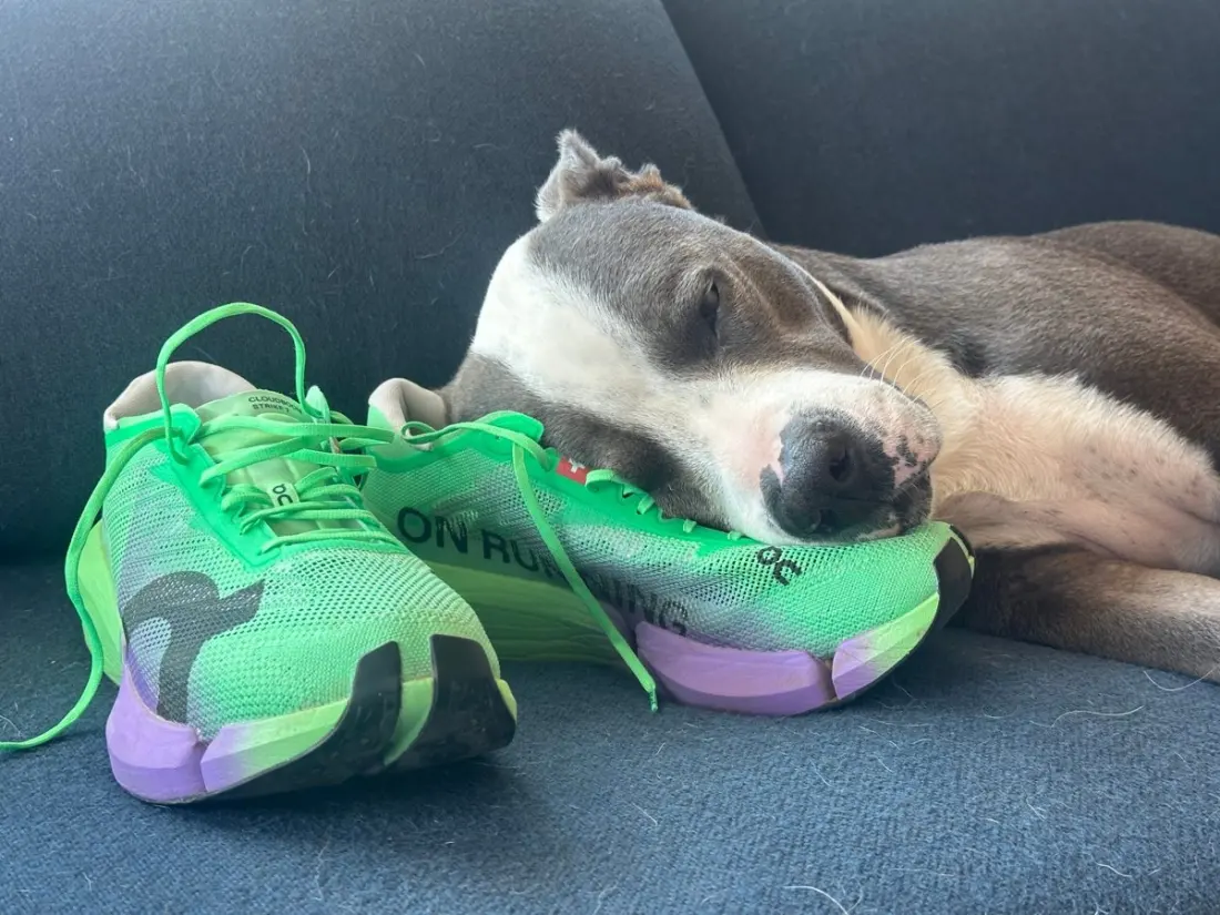 The 10 Marathon Shoes Testers Trust Most for Fall Race Day