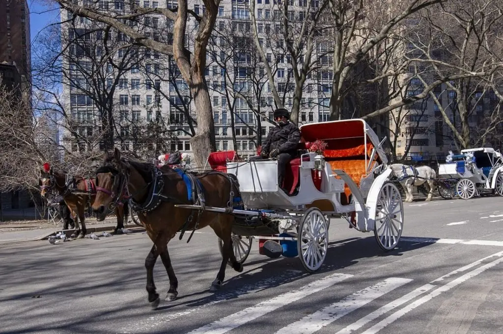 New York's Famous Horse-Drawn Carriage Rides Will Disappear by 2028