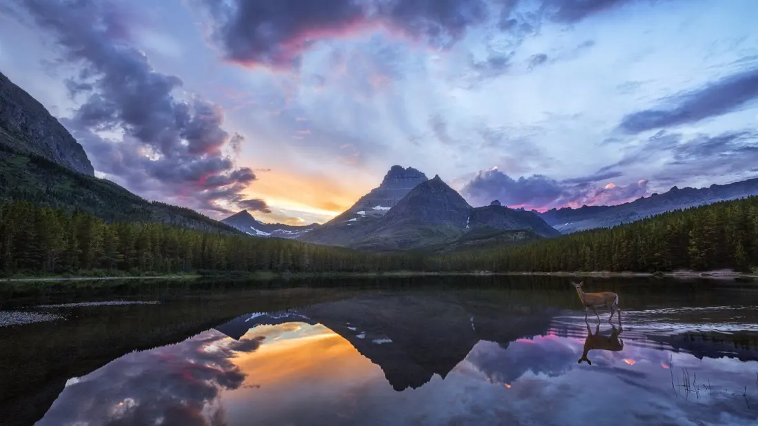 Montana Makes the Case for a Mountain Retirement Over Florida