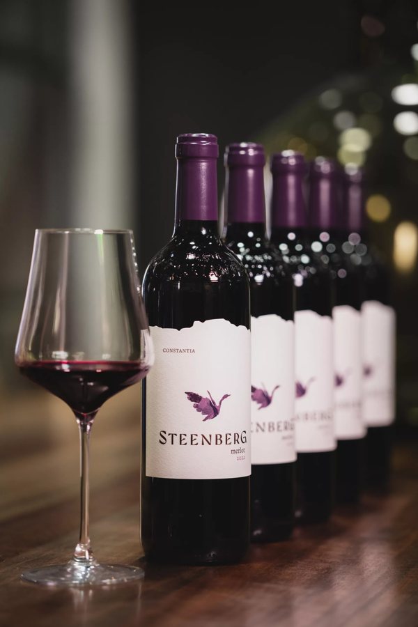 Steenberg's Merlot Takes Gold at Veritas — Another Reason to Tour Constantia