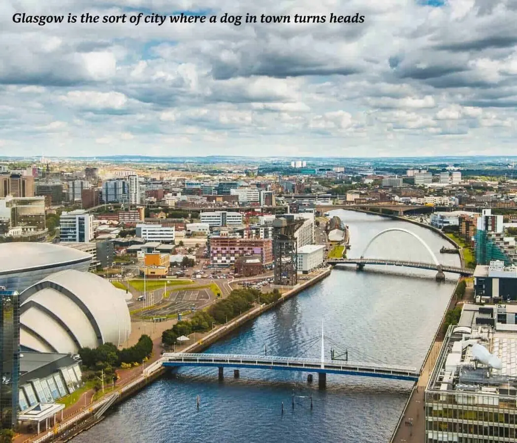 Dog-friendly Glasgow: where to eat, sleep and wander with your hound