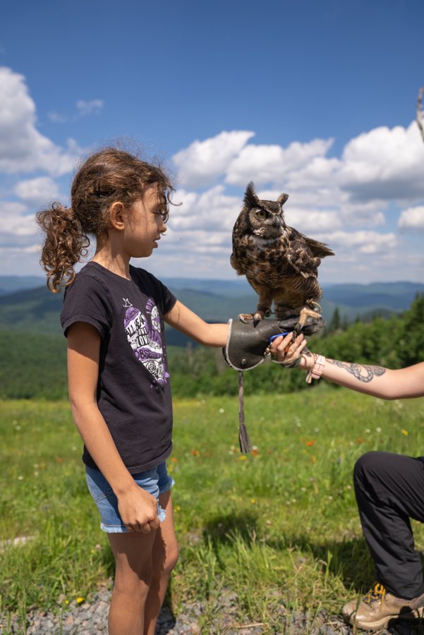 Mont Tremblant in Summer: Blues, Luge Runs and a Treetop Circus in the Laurentians