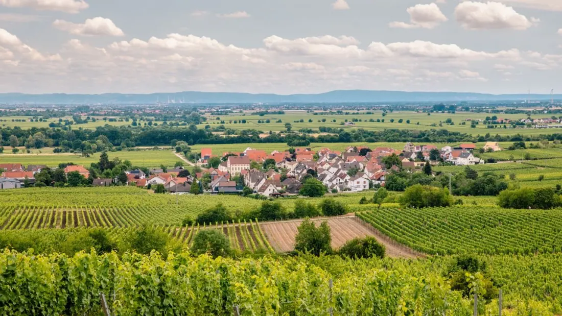 Deidesheim: the tiny wine village now home to Germany's newest three-Michelin-star restaurant
