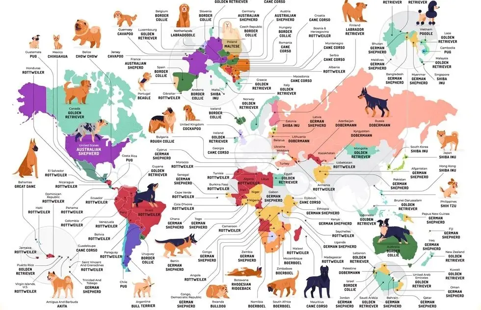 A World Map of Favourite Dogs: What Breeds Rule Where