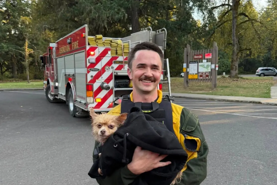 A Kayak Flipped on Oregon's Clackamas River — the Only One Wearing a Life Jacket Was the Dog