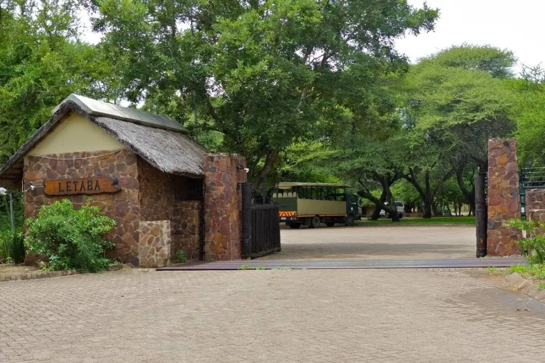 Kruger camp-to-camp drives: from a quick 90 minutes to a full day in the park