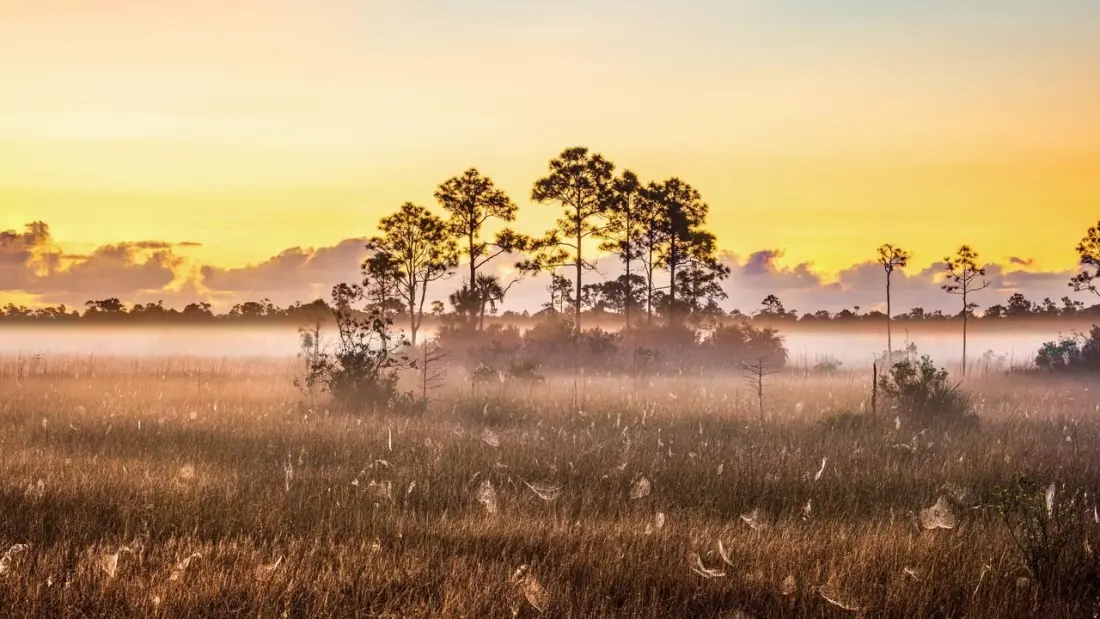 Nine East Coast national parks worth the road trip, from Acadia to Dry Tortugas