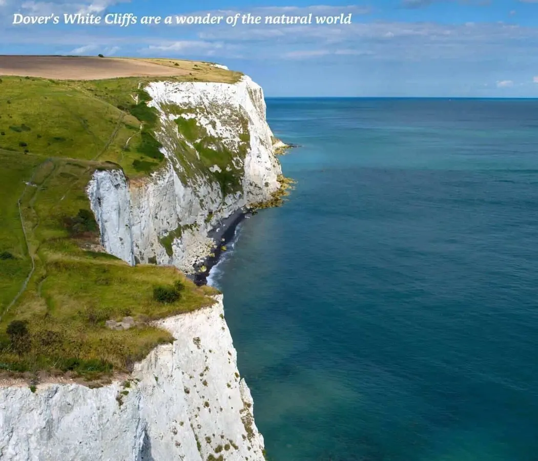 Kent's wild side: cliffs, bison and reedbeds beyond the garden county