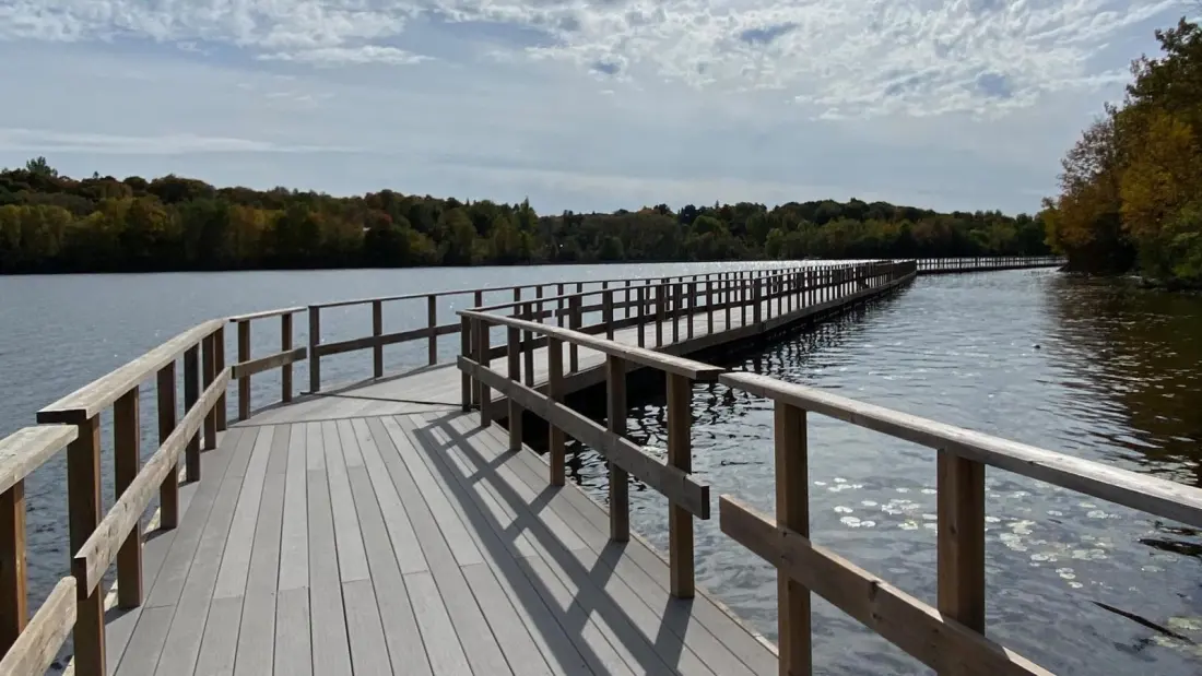 Huntsville's floating boardwalk is one of Ontario's best fall walks