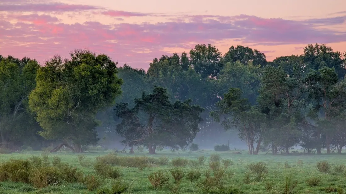 York County, South Carolina: The Quiet Retirement Alternative Just Outside Charlotte