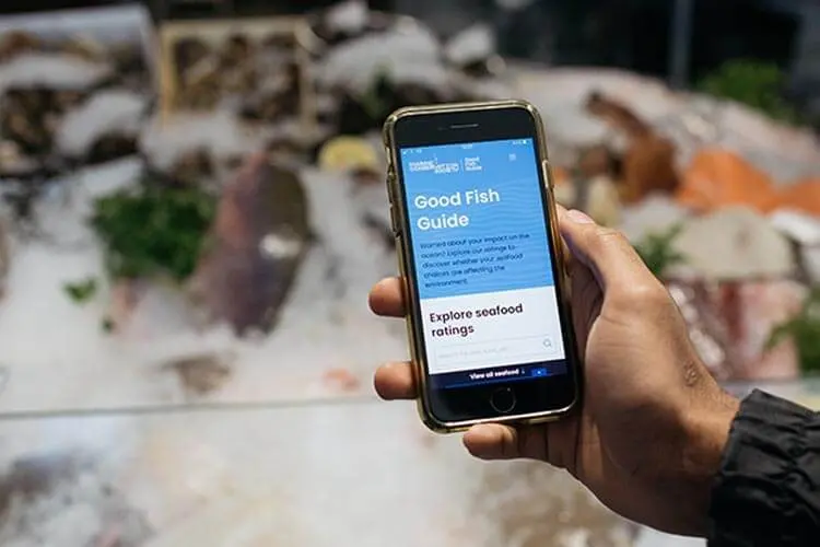UK's Good Fish Guide update: what to eat — and skip — right now