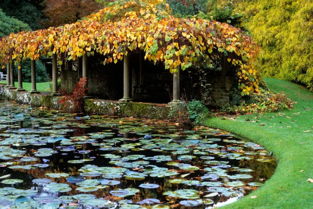From Stourhead to Sheffield Park: where to catch the UK's best autumn colour