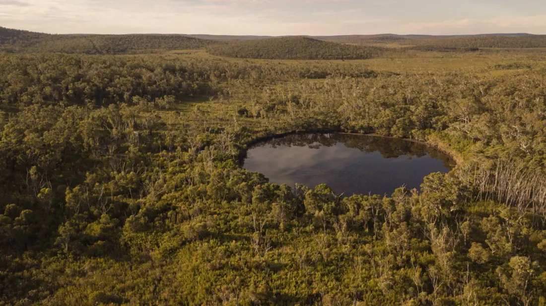 Painting With 6000-Year-Old Ink: The Fight to Save Western Australia's Ancient Peatlands