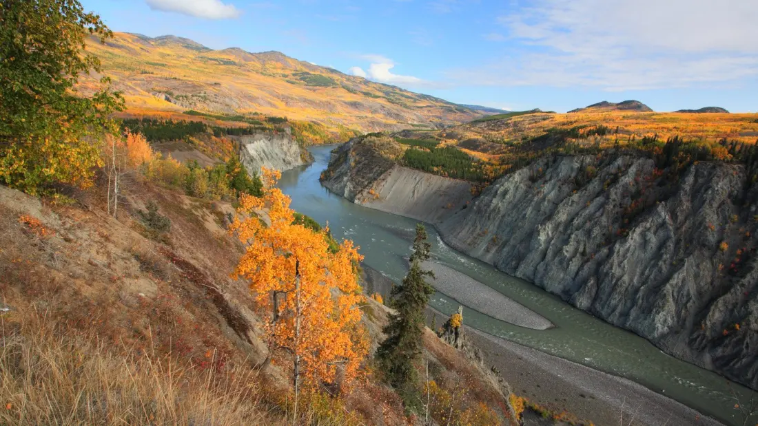 Stikine River Gorge: Why Canada's 'Grand Canyon of the North' Is Worth the Long Drive