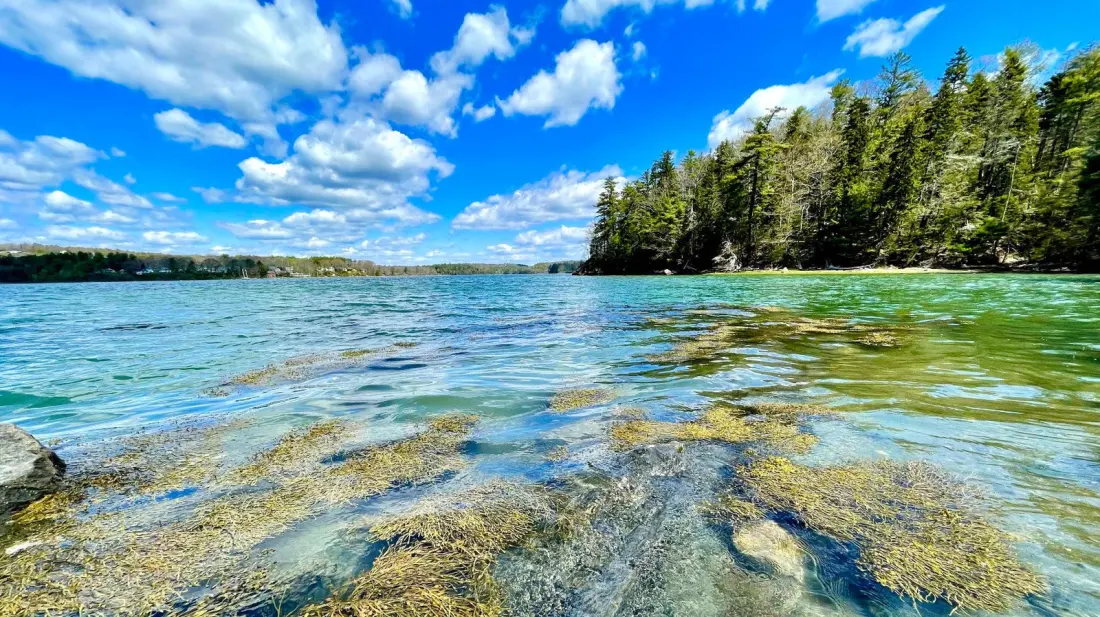Wolfe's Neck Woods: Maine's Easy Day-Trip Park for Ospreys, Seals and Salt Marsh Trails