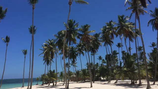 Canadians Are Heading to the Dominican Republic in Big Numbers — And New Winter Flights Prove It