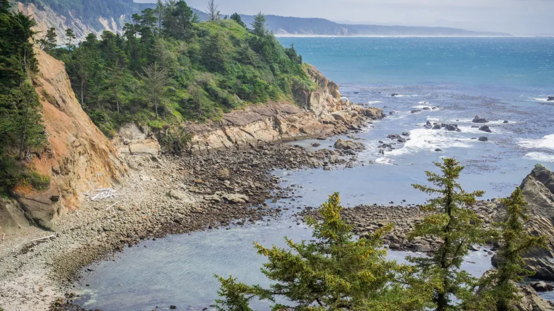 Cape Arago: The Oregon State Park Where the Highway Ends and the Wildlife Begins