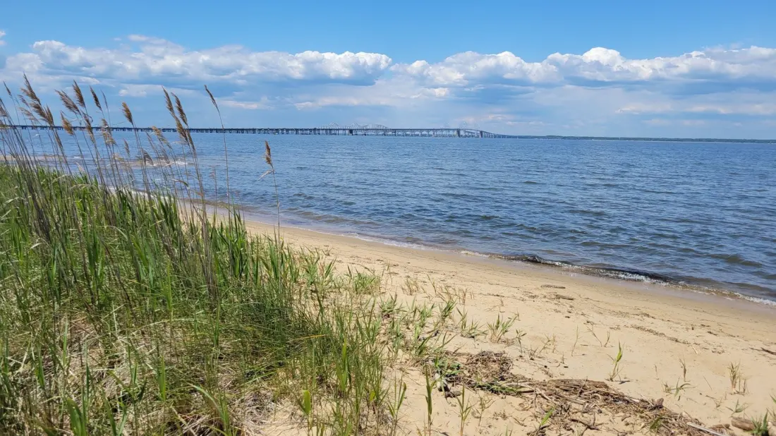 Terrapin Nature Park: The Chesapeake Beach Escape Under an Hour From Baltimore