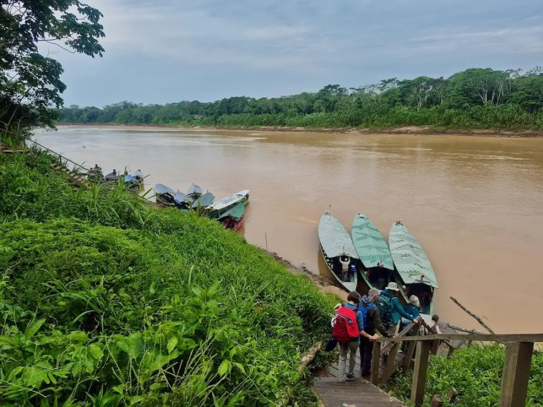 At This Peruvian Amazon Lodge, Guests Help Real Scientists Do Real Research