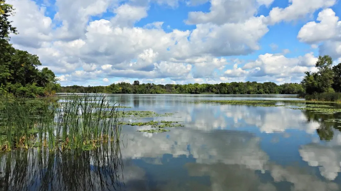 Cleary Lake Regional Park: The Twin Cities' Easy Lake Escape With Camping, Kayaks and an Off-Leash Dog Paradise