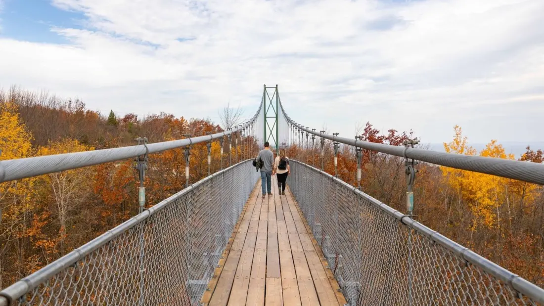 Southern Ontario's longest suspension bridge is a leaf-peeping winner this fall