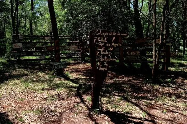 Museo del Árbol: Paraguay's Forest Where Trees Are the Exhibition