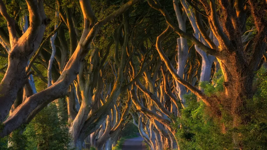 Ireland wants Halloween back — and it all started in a 'hell cave' in Roscommon