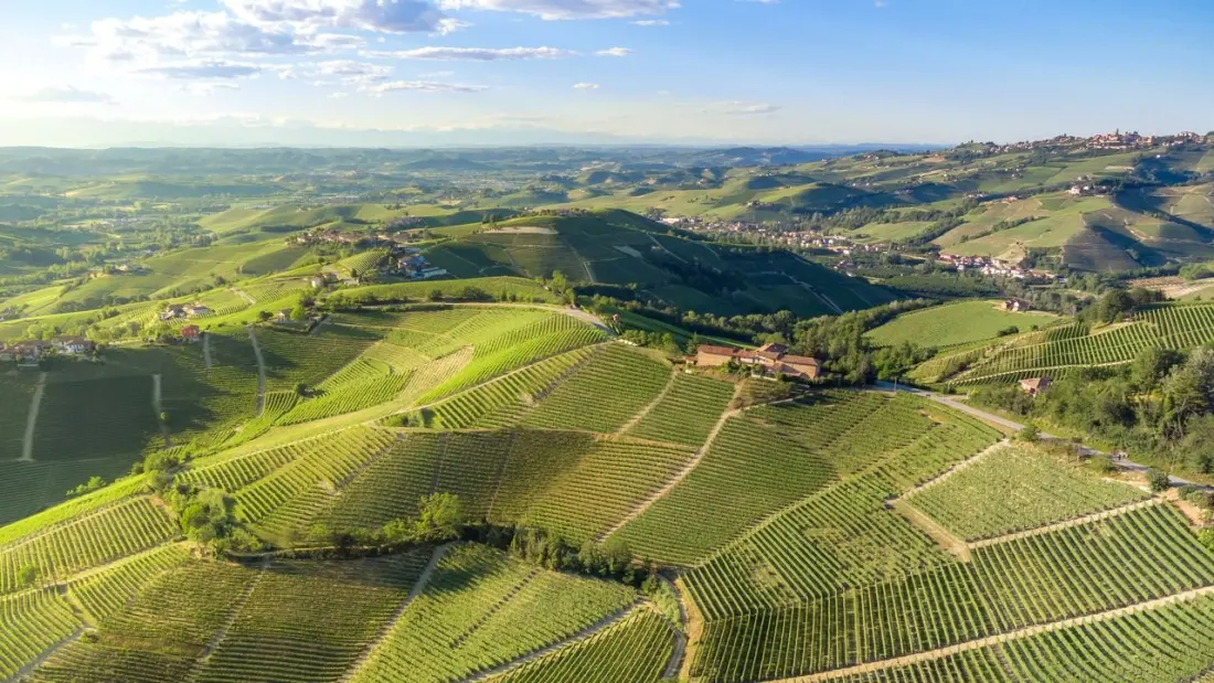 Piedmont crowned Europe's second-best wine region for 2027 – and it's still wonderfully under the radar