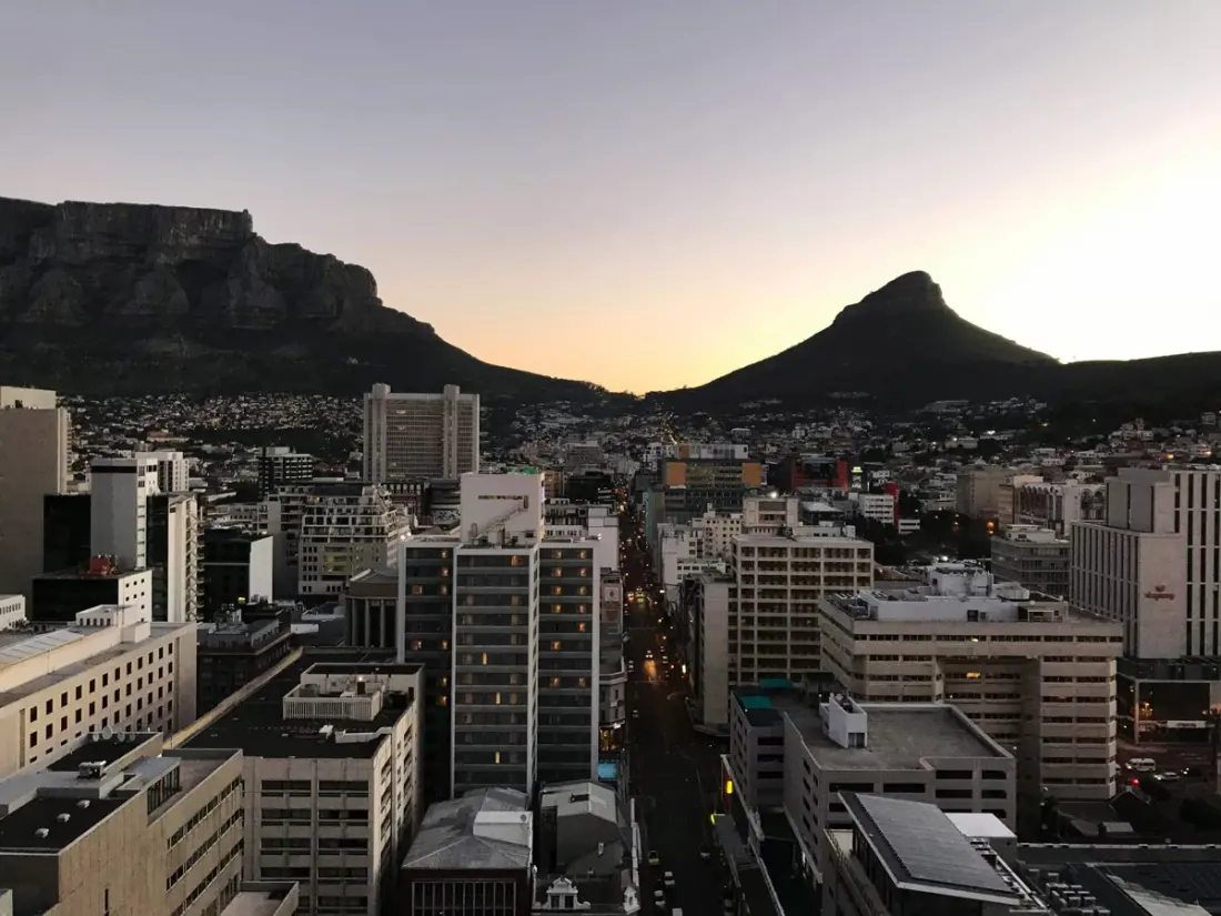 Cape Town's CBD is blooming thanks to a volunteer green army