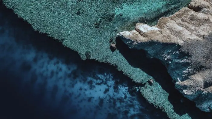 Ocean Short Film Festival Screens at Inhabit Southwick Street, London - Here's What's On